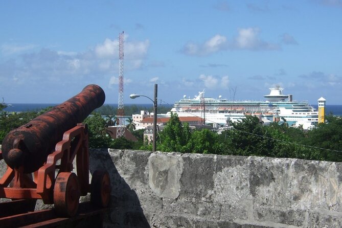 Nassau Family Friendly City Tour - Arawak Cay and the conch tradition
