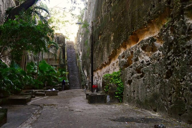 Nassau Family Friendly City Tour - What the guides add to the experience