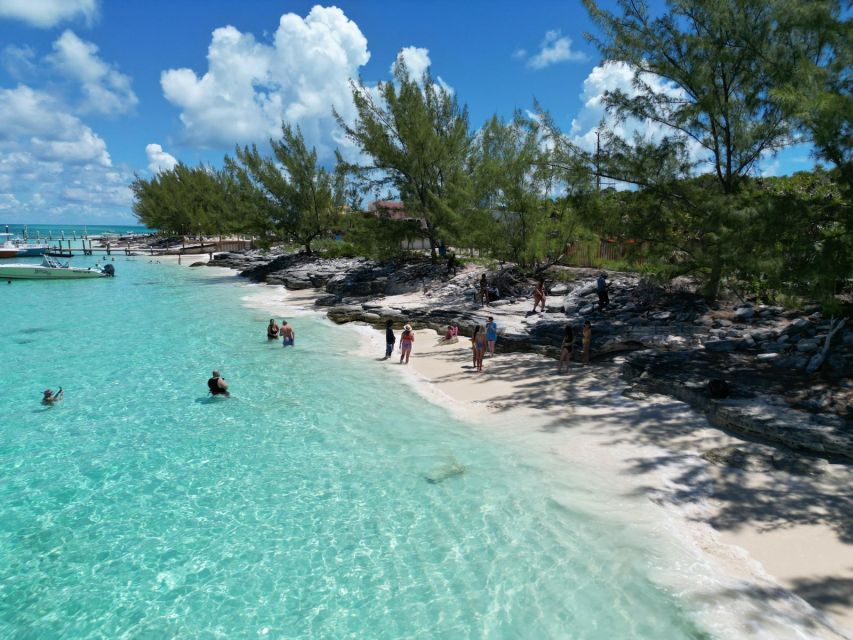 Nassau: Half-Day Guided Cay Cruise, Sea Life Watch & Snorkel - Blue Lagoon Island and the animal stops