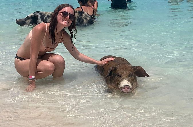 Nassau: Half Day Reef Snorkeling, Turtles & Swimming Pigs - Fitness, weather, and practical planning