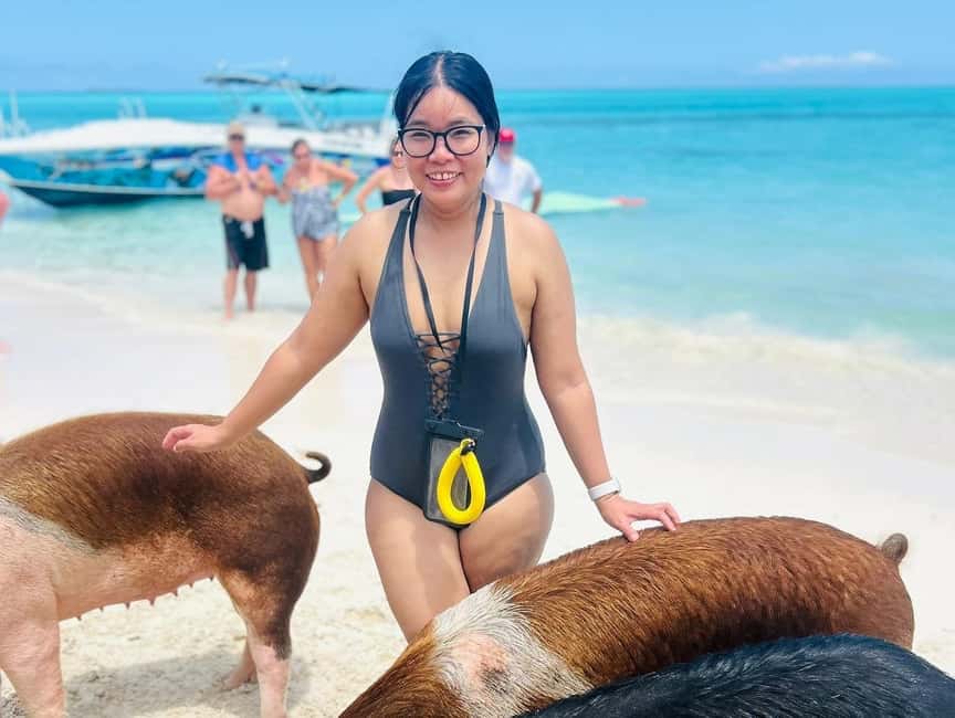 Nassau: Half-Day Swimming Pigs, Reef Snorkel & Beach Club - A four-hour Nassau outing with three very different stops