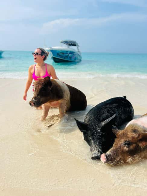 Nassau: Half-Day Swimming Pigs, Reef Snorkel & Beach Club - Meeting the boat near Montague Beach