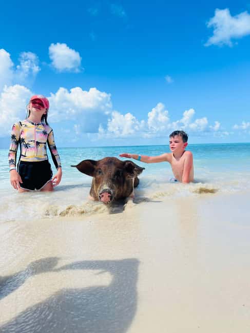 Nassau: Half-Day Swimming Pigs, Reef Snorkel & Beach Club - Athol Island reef snorkeling for about an hour