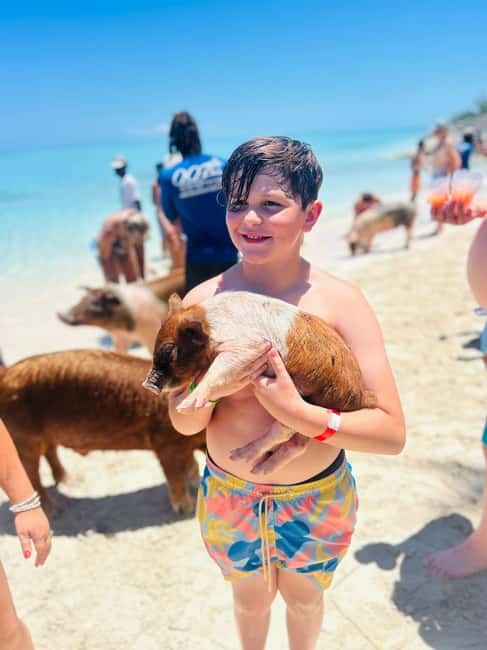 Nassau: Half-Day Swimming Pigs, Reef Snorkel & Beach Club - Rose Island, where the day slows down