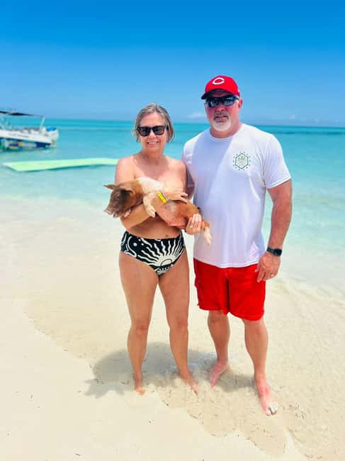 Nassau: Half-Day Swimming Pigs, Reef Snorkel & Beach Club - The pig encounter: set your expectations carefully