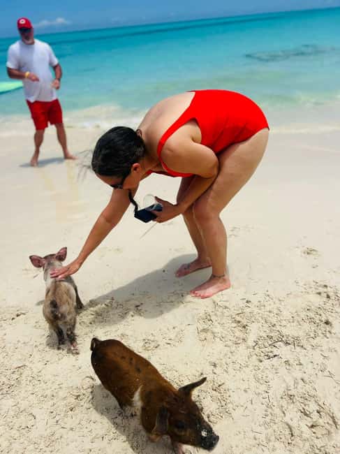 Nassau: Half-Day Swimming Pigs, Reef Snorkel & Beach Club - What $189 buys you