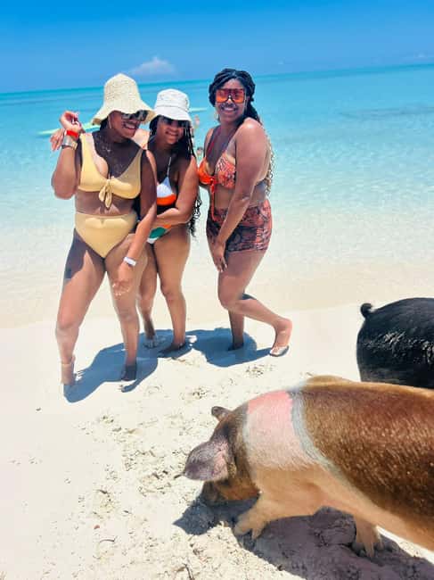 Nassau: Half-Day Swimming Pigs, Reef Snorkel & Beach Club - Who will enjoy this most