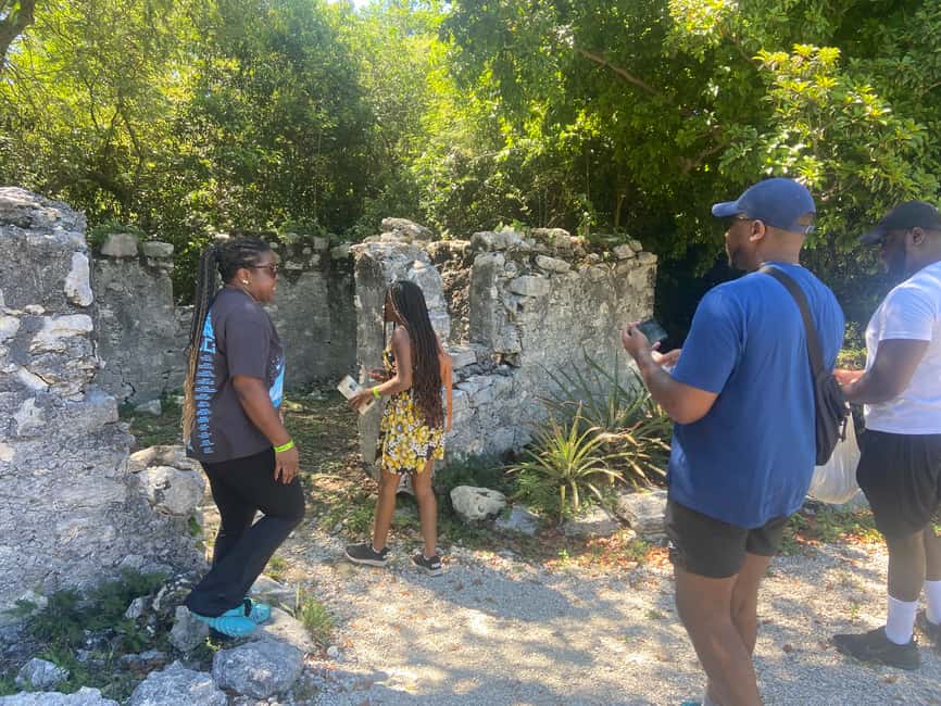 Nassau: Historic City Tour with Drink and Food Tasting - Who will enjoy this Nassau tour