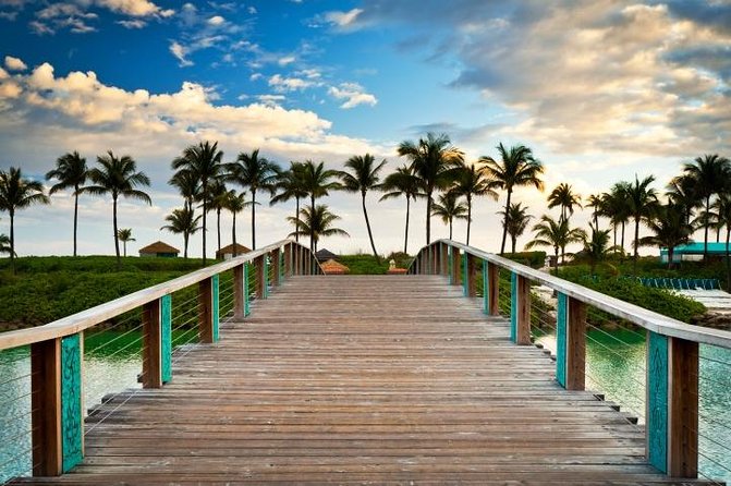 A palm lined dock running out over shallow turquoise water