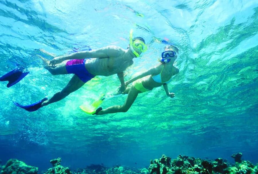 Nassau: Island Hopping Boat Trip with Lunch & Drinks - Green Cay and the turtle encounter