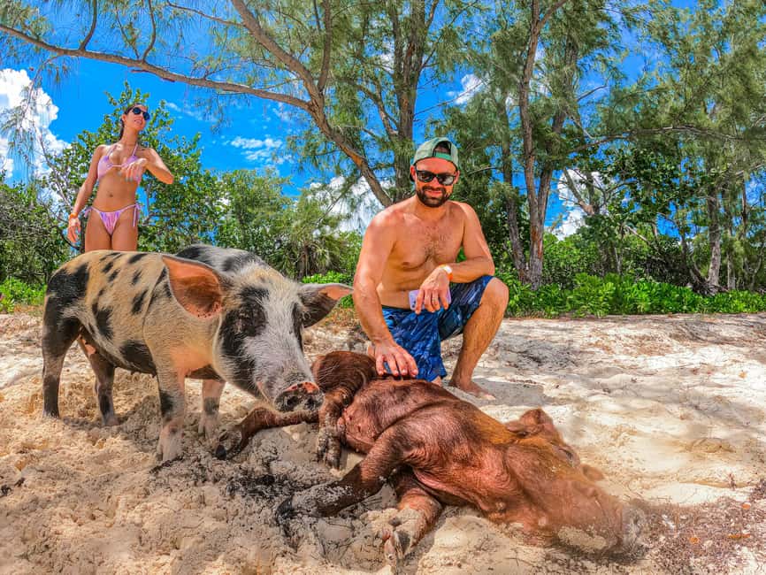 Nassau: Pigs Beach Trip by Boat with Swimming and Feeding - Pearl Island adds a second, slower stop