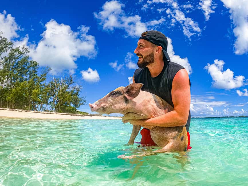 Nassau: Pigs Beach Trip by Boat with Swimming and Feeding - The boat ride from Nassau to Athol Island