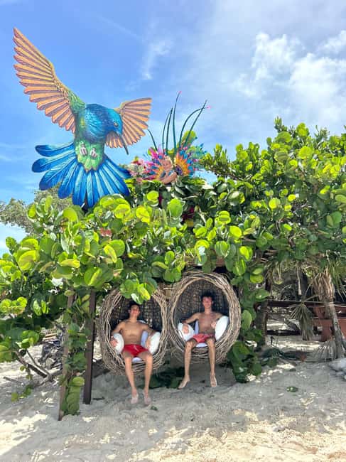 Nassau: Pigs, Snorkel, Turtles, Lunch, Private Beach Club - Is $139 good value?