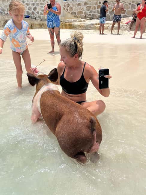 Nassau: Pigs, Snorkel, Turtles, Lunch, Private Beach Club - Snorkeling near Rose Island