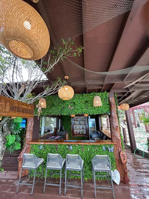 Nassau: Pigs, Snorkel, Turtles, Lunch, Private Beach Club - Oasis Ocean 7 on Rose Island