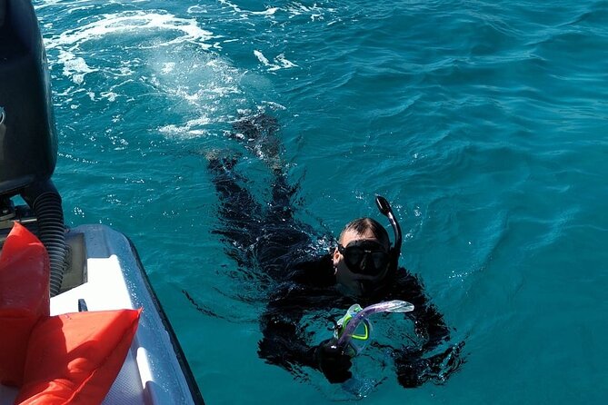 Nassau: Private Island & Snorkeling, Turtles, Drinks, & BBQ - Who will enjoy this Nassau excursion
