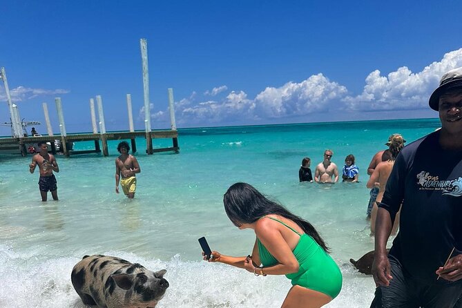 Nassau, Private Swimming Pig, Island Hopping, Snorkeling, Turtles - Green Cay and the search for turtles
