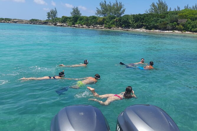 Nassau, Private Swimming Pig, Island Hopping, Snorkeling, Turtles - The swimming pigs are optional, not essential