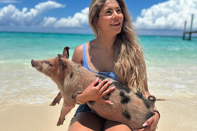 Nassau, Private Swimming Pig, Island Hopping, Snorkeling, Turtles - Rose Island gives the trip breathing room
