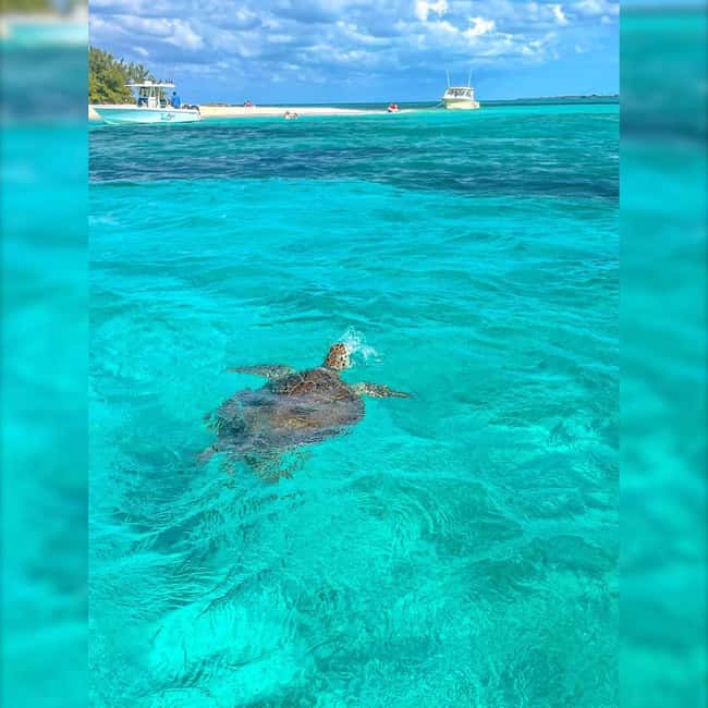 Nassau: Rose 3-Island Tour with Snorkeling and Lunch - Rainbow Reef and the underwater view