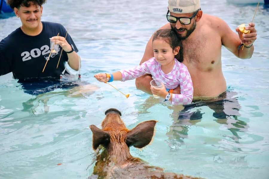 Nassau: Rose Island Swimming Pigs and Beach Day Group Tour - Key points at a glance