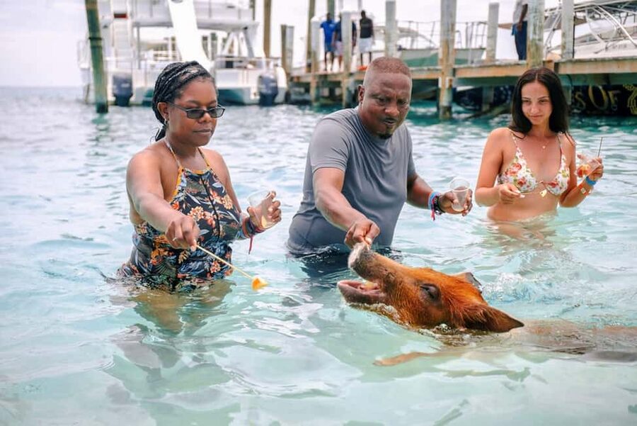Nassau: Rose Island Swimming Pigs and Beach Day Group Tour - The real appeal: pigs, turquoise water, and a short escape from Nassau
