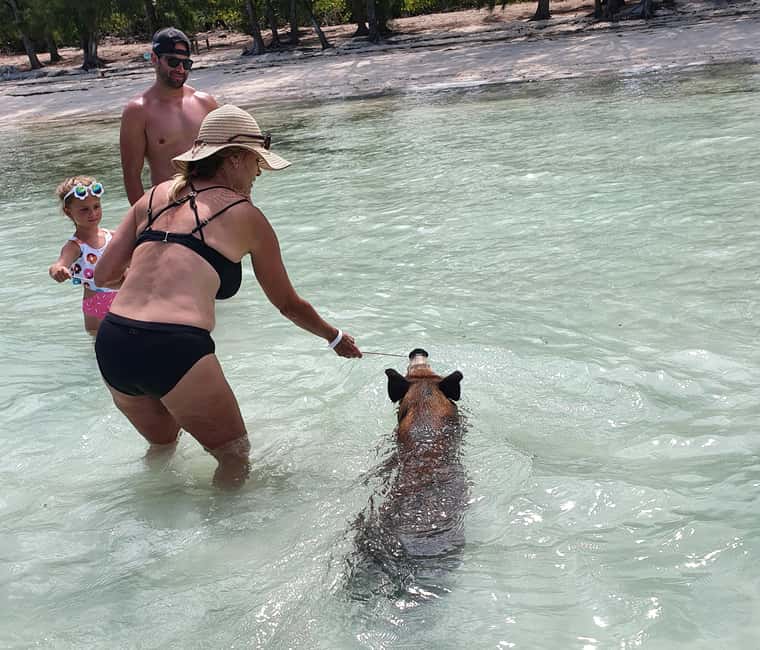 Nassau: Rose Island Swimming Pigs & Turtles Snorkeling Tour - The boat ride and sea conditions