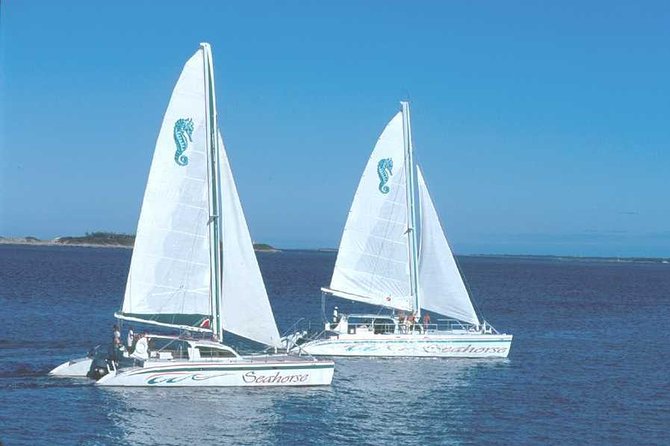 Nassau Sail & Snorkel Adventure with 1 Hour Open Bar - Who Will Enjoy This Most