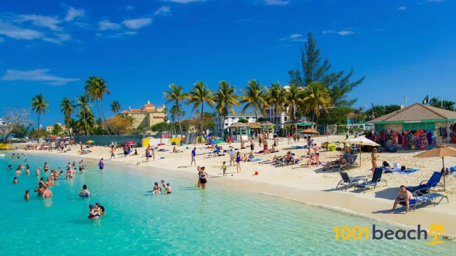 Nassau: Self Drive Speed Boat & Guided ATV Tour + Free Lunch - Who should book this Nassau excursion?