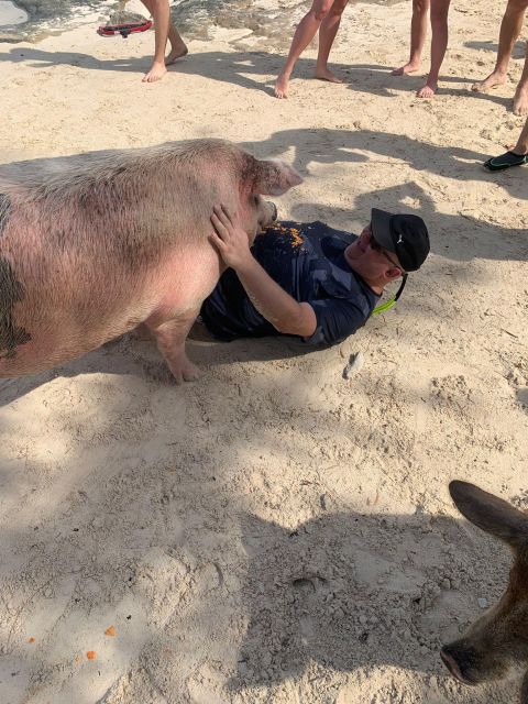 Nassau: Self-Drive Speedboat Ride and Pig Swimming Encounter - Who will enjoy this Nassau excursion most