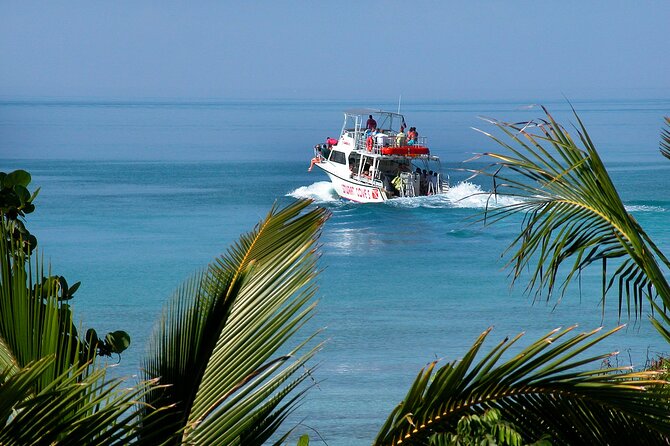 Nassau Shore Excursion: Bahamas Snorkel Adventure - Weather decides how much you see