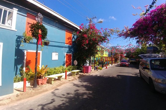 Nassau Shore Excursion: Sightseeing and Snorkeling Tour - Nassau sightseeing before the beach