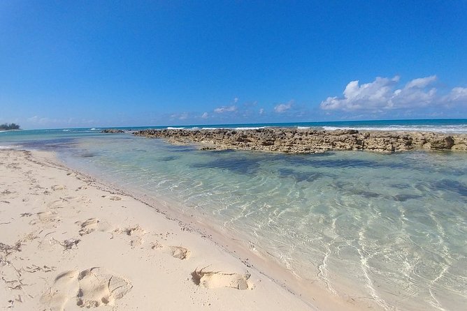 Nassau Shore Excursion: Sightseeing and Snorkeling Tour - Graycliff Chocolate Factory and the sweet stop