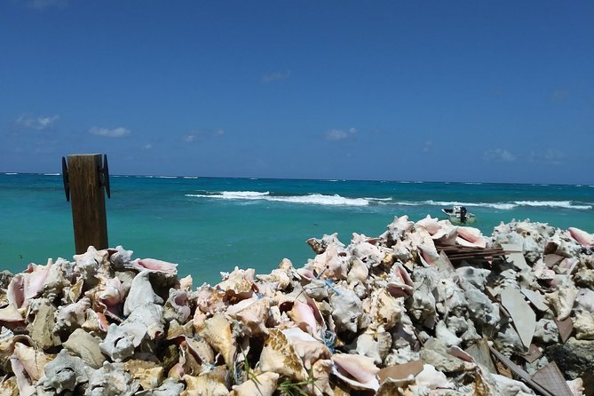 Nassau Shore Excursion: Sightseeing and Snorkeling Tour - New Providence Cave and the road to Love Beach