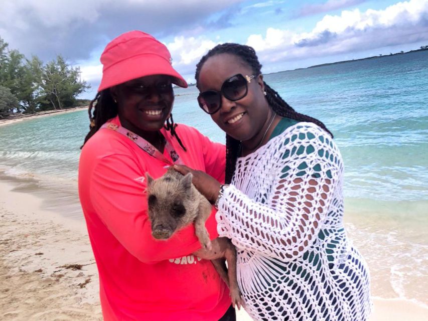 Nassau: Snorkeling, Pig Beach, Swim with Turtles, and Lunch - Weather, access, and who should skip it