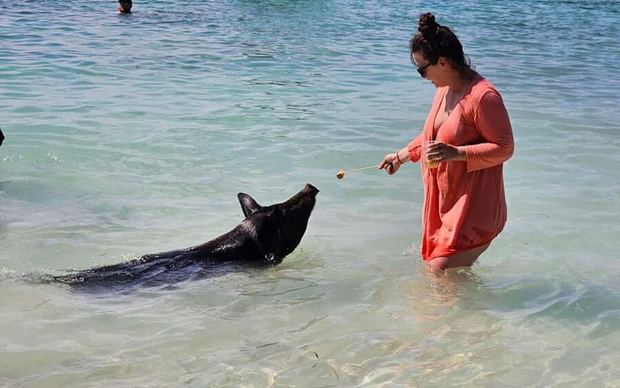 Nassau: Snorkeling, Pig Beach, Swim with Turtles, and Lunch - Snorkeling near Athol Island and the reef sites