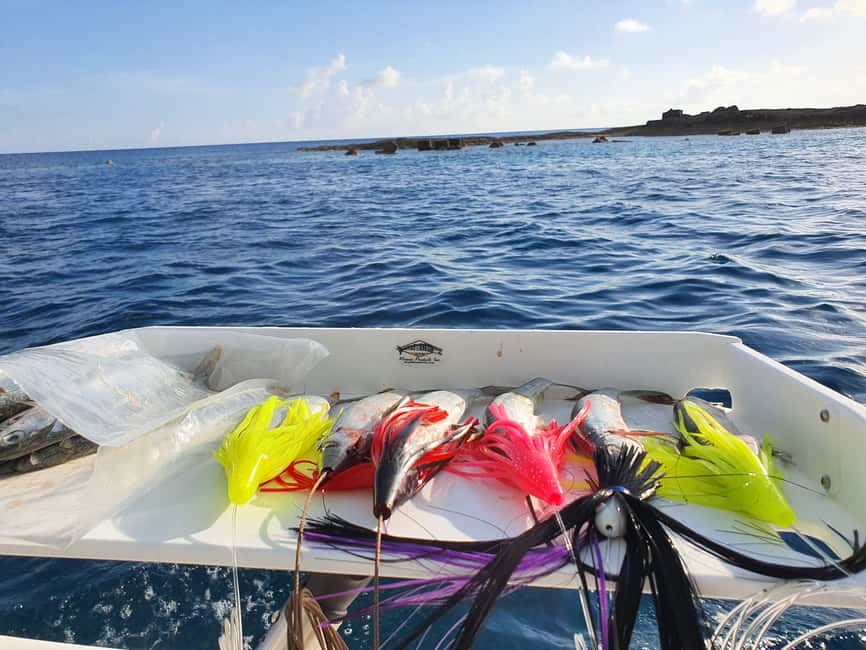 Nassau: Sport-fishing private charter . - Leaving Paradise Island for a private fishing day