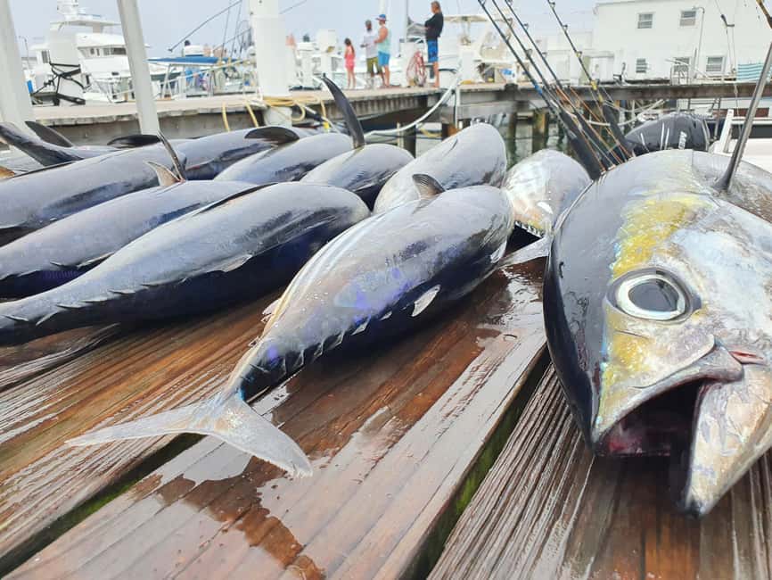 Nassau: Sport-fishing private charter . - What the four-hour trip feels like on the water