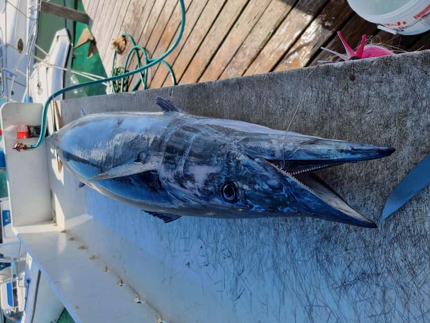 Nassau: Sport-fishing private charter . - Is the $1,000 price good value?