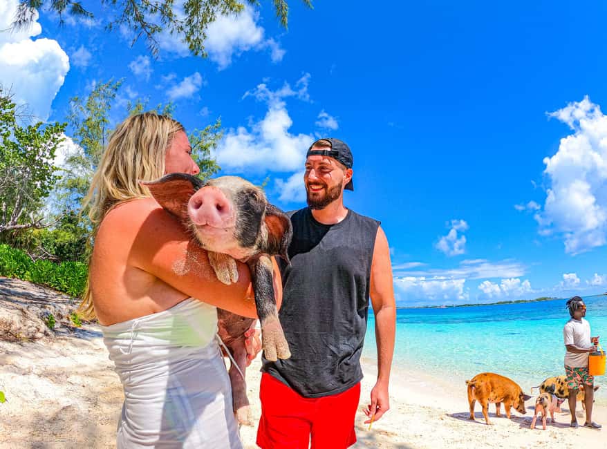 Nassau: Sun Cay and Swimming Pigs Boat Trip with Lunch - Optional activities and how to judge their value