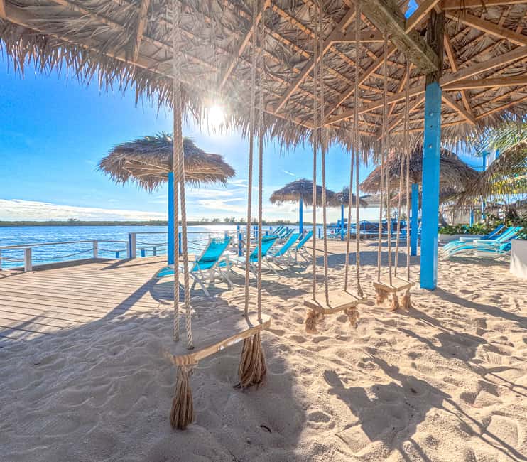 Nassau: Sun Cay Day Trip, Snorkel, Iguana Encounter, & Lunch - Key points to know before booking