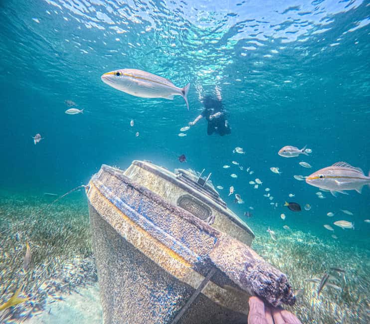 Nassau: Sun Cay Day Trip, Snorkel, Iguana Encounter, & Lunch - The snorkeling: sculptures, wrecks, and a small swim zone