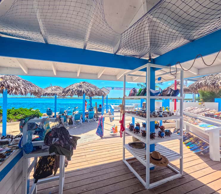 Nassau: Sun Cay Day Trip, Snorkel, Iguana Encounter, & Lunch - The short Iguana Habitat visit