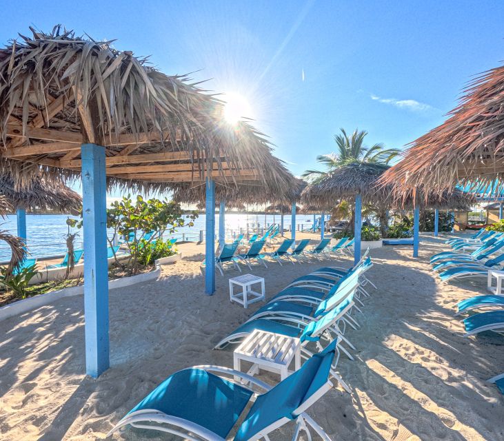 Nassau: Sun Cay Day Trip, Snorkel, Iguana Encounter, & Lunch - Practical planning for a smoother day