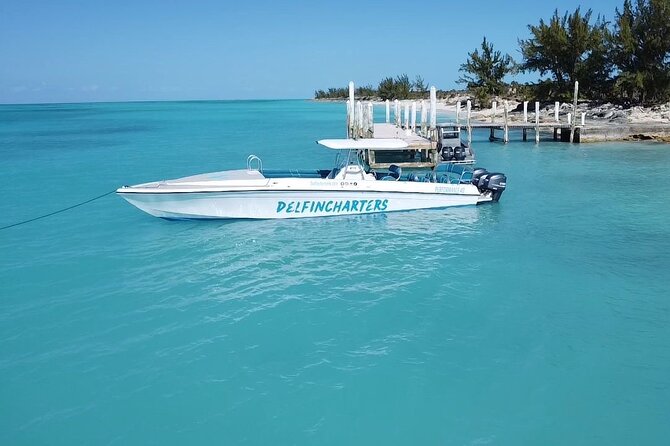 Nassau: Swimming Pigs And Snorkel With Turtles - Weather, comfort, and practical preparation