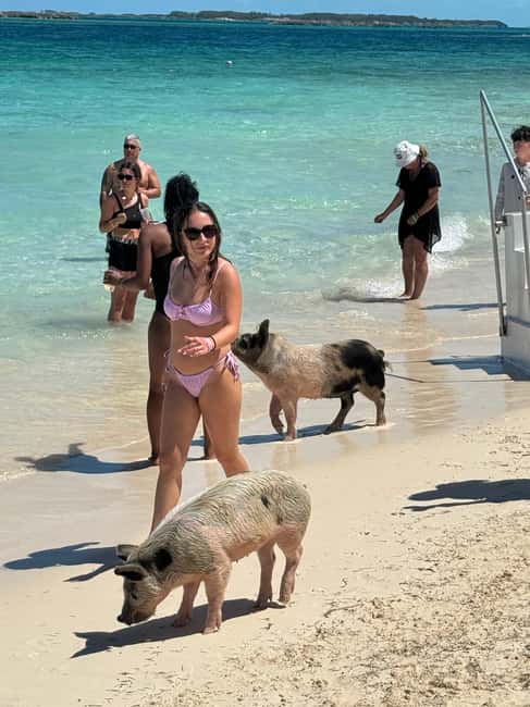 Nassau: Swimming Pigs and Turtles Boat Tour with Snorkeling - Coral reefs and marine life at Pearl Island