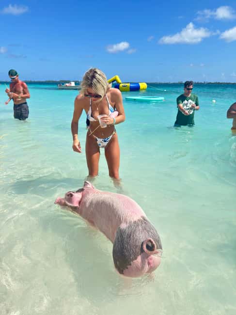 Nassau: Swimming Pigs and Turtles Boat Tour with Snorkeling - Meeting at Montagu Beach Dock