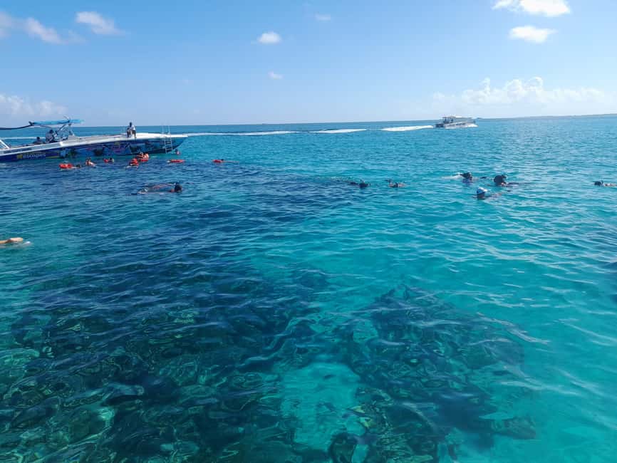 Nassau: Swimming Pigs Private Boat Tour - Up to 7 Persons - A private boat ride from Elizabeth on Bay