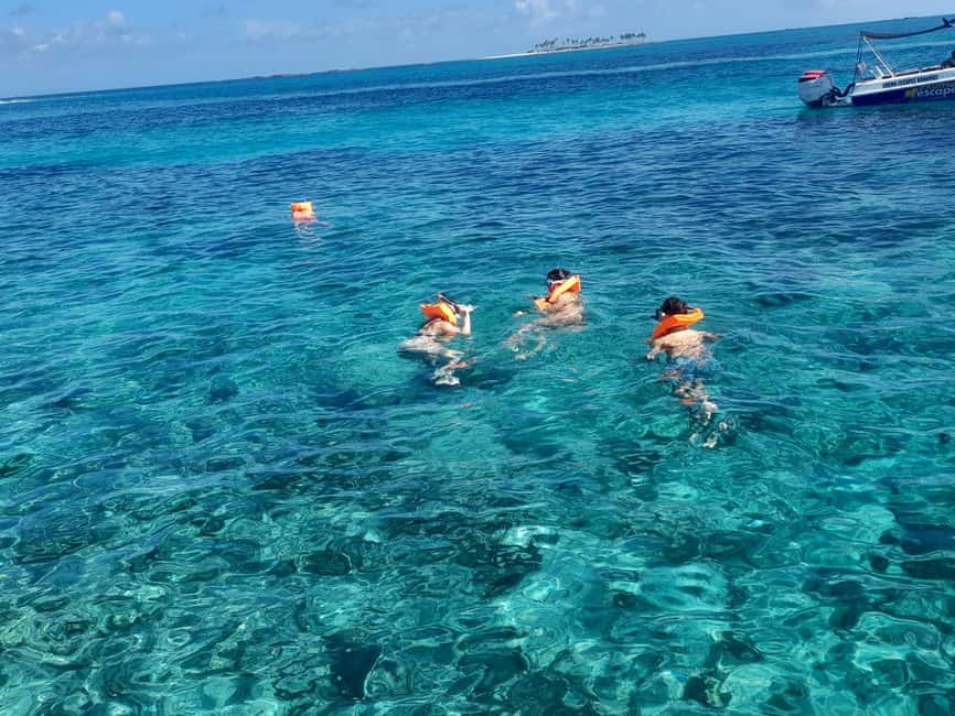 Nassau: Swimming Pigs Private Boat Tour - Up to 7 Persons - A short transfer to Green Cay