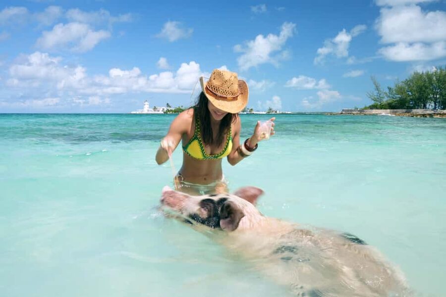 Nassau: Swimming Pigs, Snorkeling, Lunch, & Beach Boat Tour - Key points to know before booking